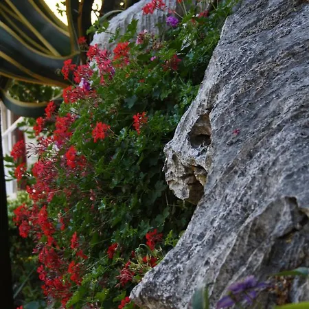 Hortus * Neum