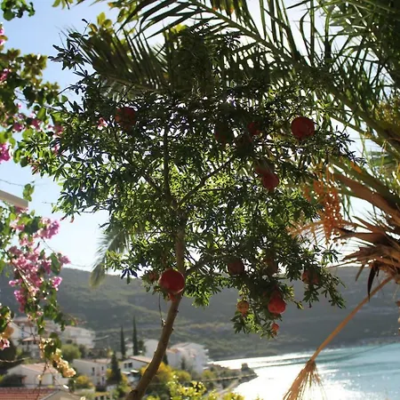 Hortus Neum